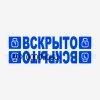 Пломба наклейка "Контур Термо" 27x76